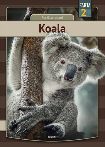 Koala_0