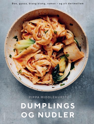 Dumplings og nudler - picture