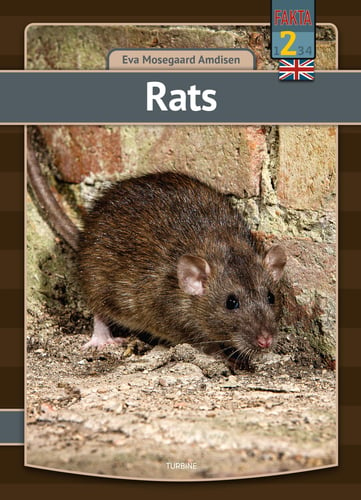 Rats_0