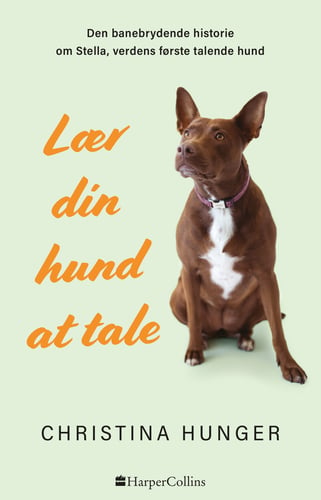 Lær din hund at tale - picture