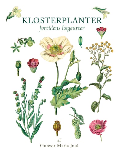 Klosterplanter - picture