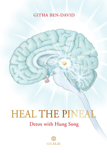 Heal the Pineal - picture
