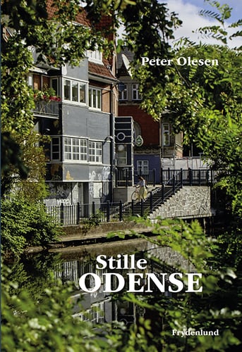 Stille Odense - picture