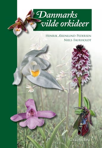 Danmarks vilde orkideer - picture