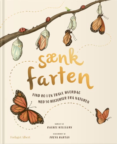 Sænk farten - picture