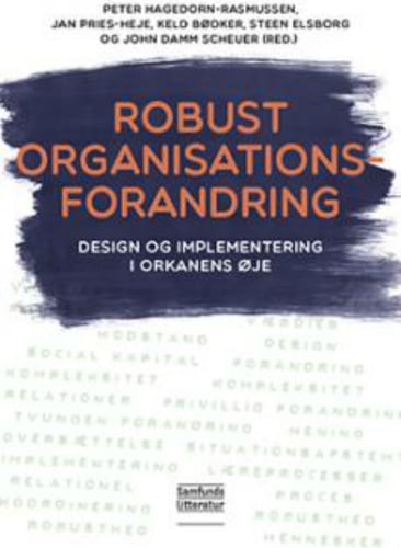 Robust organisationsforandring - picture