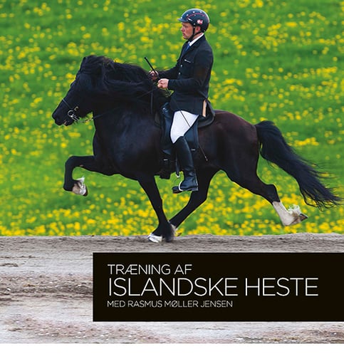 Træning af islandske heste med Rasmus Møller Jensen - picture