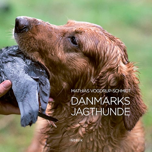 Danmarks jagthunde - picture