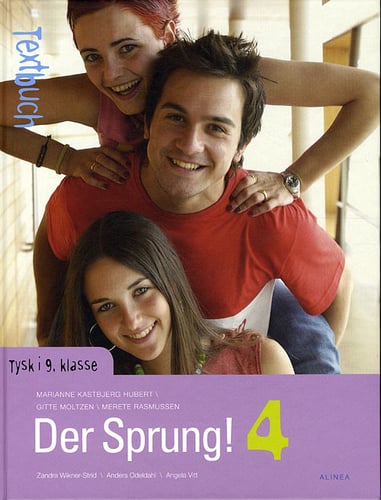 Der Sprung! 4, Textbuch/Web - picture