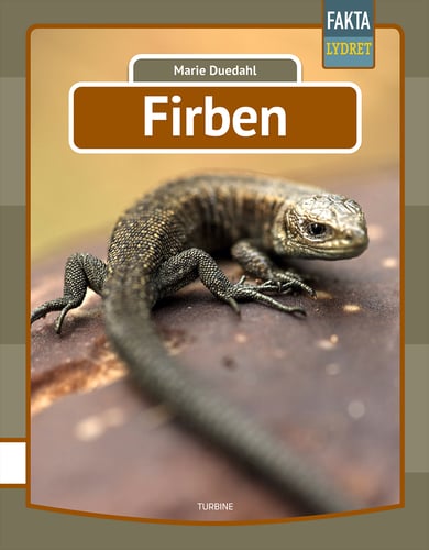 Firben - picture