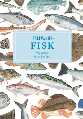 Saltvandsfisk- display med 10 stk - picture