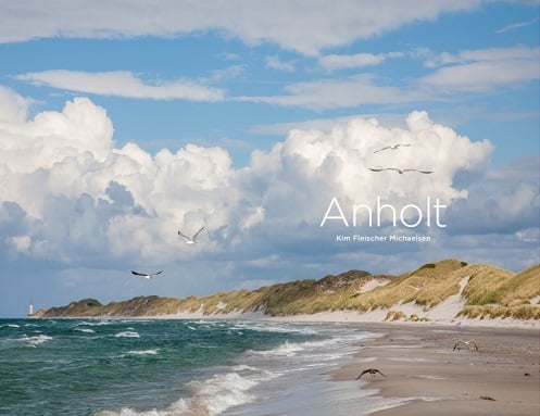 Anholt - picture