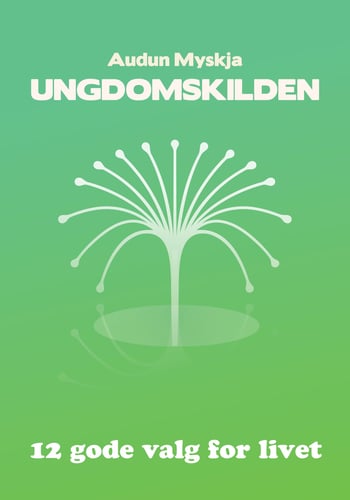 Ungdomskilden - picture