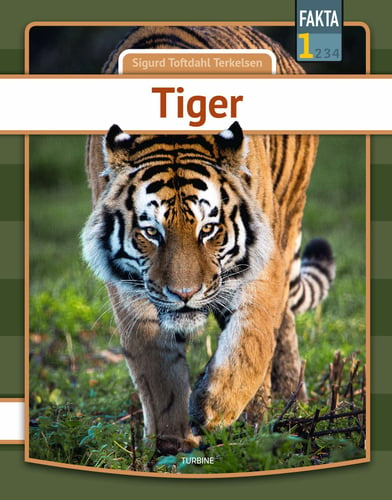 Tiger_0