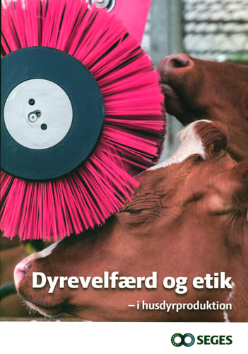 Dyrevelfærd og etik - i husdyrproduktion - picture