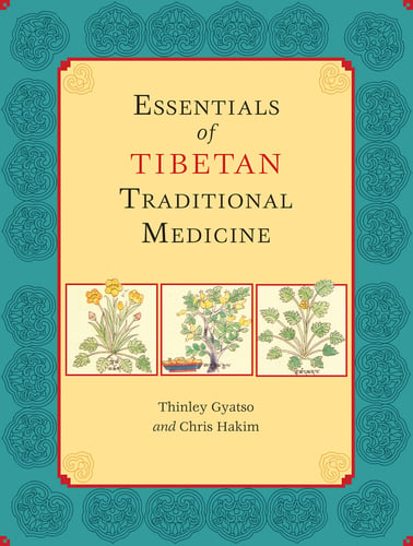 Essentials of tibetan traditional medicine - picture