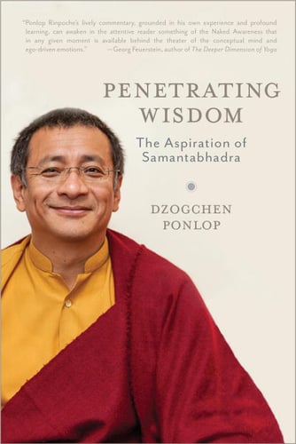Penetrating wisdom_0