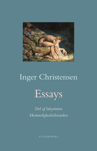 Essays. Hemmelighedstilstanden / Del af labyrinten - picture