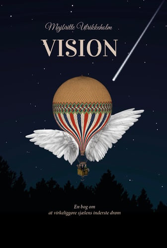 Vision - picture