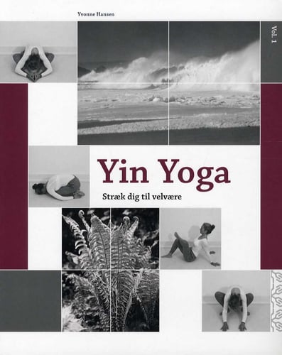 Yin Yoga - picture