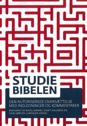 Studiebibelen - picture