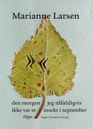 den morgen jeg tilfældigvis ikke var et insekt i september - picture
