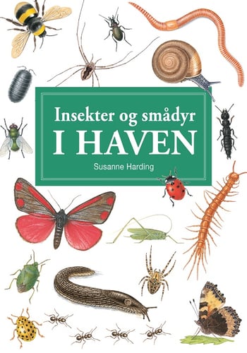 Insekter og andre smådyr i haven - display med 10 stk - picture
