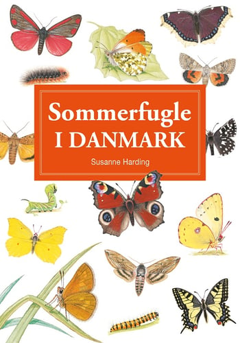 Sommerfugle i Danmark - display med 10 stk_0