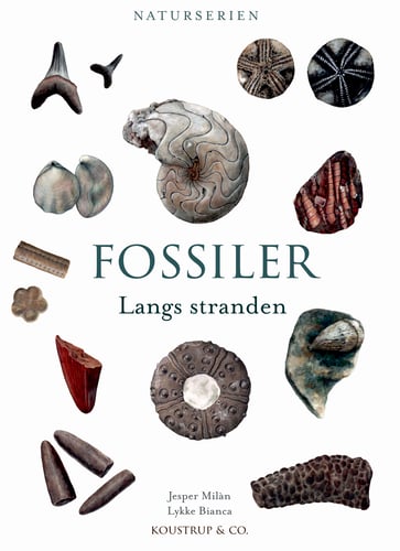 FOSSILER - picture