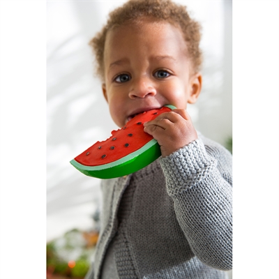 Wally the Watermelon_1