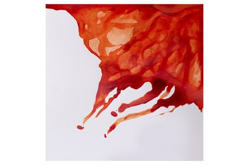 Winsor Drawing Ink 14ML Brændt Sienna 074_2