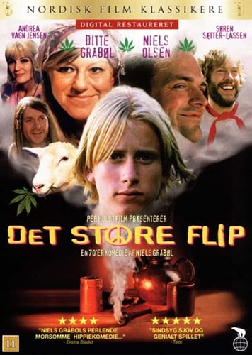 Det store flip - DVD - picture