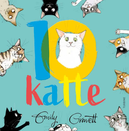 10 katte - picture