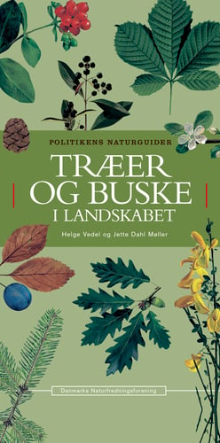 Træer og buske i landskabet_0