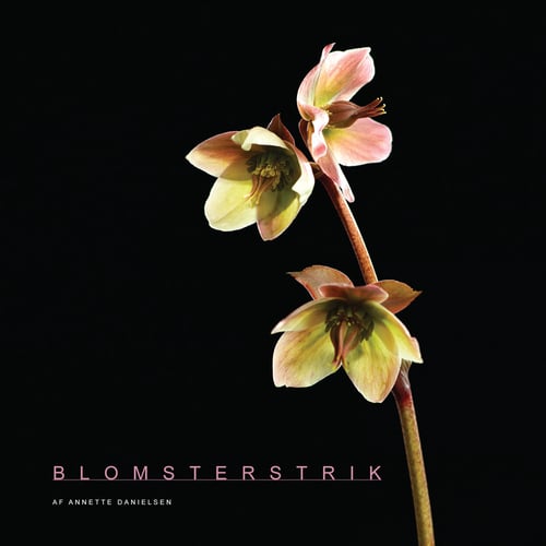 Blomsterstrik - picture