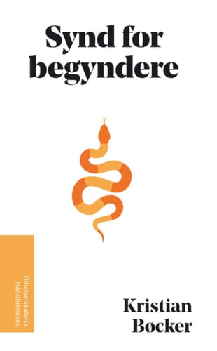 Synd for begyndere - picture