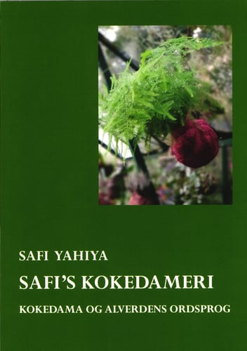 Safis Kokedameri - picture