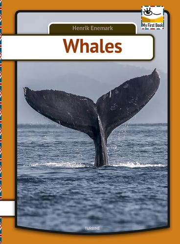 Whales - picture