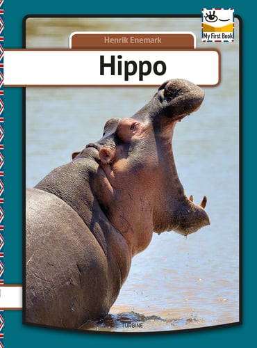Hippo_0