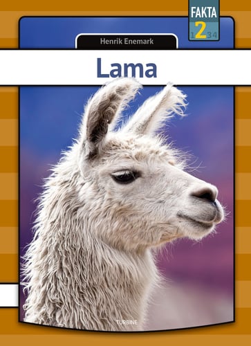 Lama - picture
