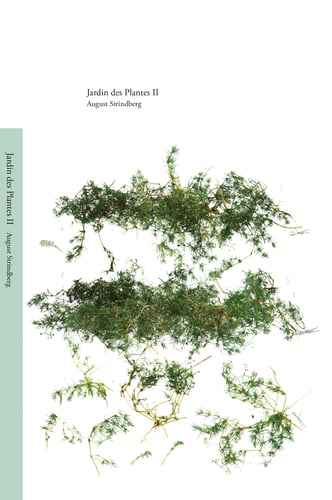 Jardin des Plantes II