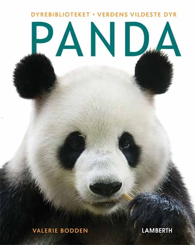 Panda - picture