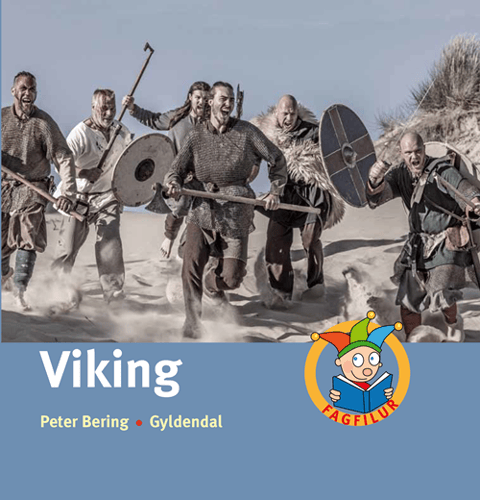 Viking - picture