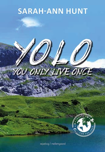 YOLO - picture