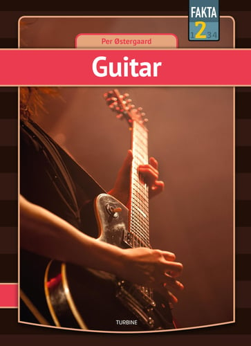 Guitar - picture