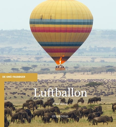 Luftballon - picture