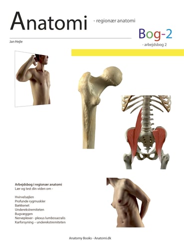Anatomi - Bog 2 - picture