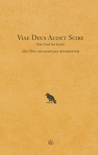 Viae Deus Audet Scire – Veje Gud tør kende - picture