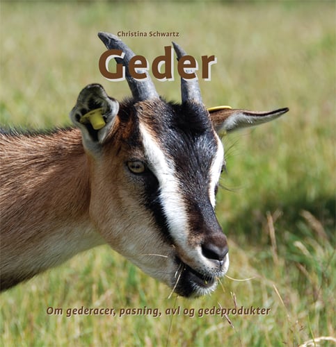 Geder_0
