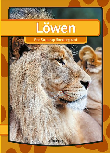 Löwen - picture
